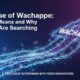 The Rise of Wachappe: What It Means and Why People Are Searching