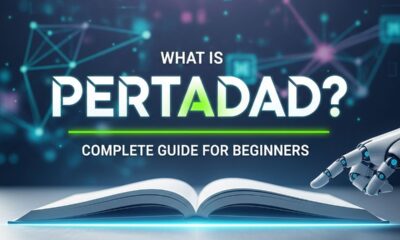 What Is Pertadad? Complete Guide for Beginners
