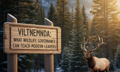 Viltnemnda: What Wildlife Governance Can Teach Modern Leaders