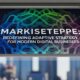 Markiseteppe: Redefining Adaptive Strategy for Modern Digital Businesses