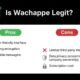 Is Wachappe Legit? Detailed Analysis, Pros, and Cons