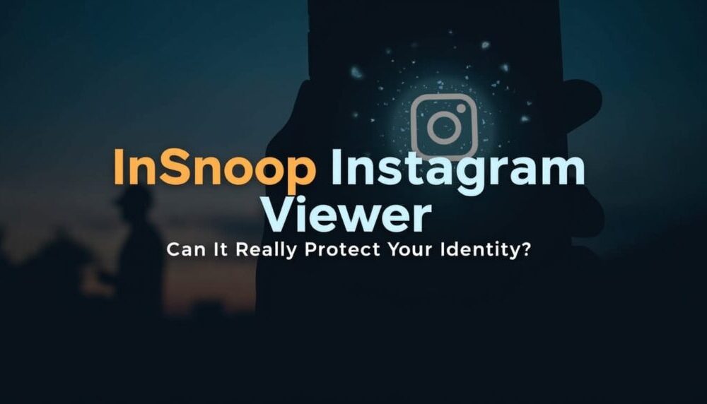 Instagram Story Viewer Insnoop