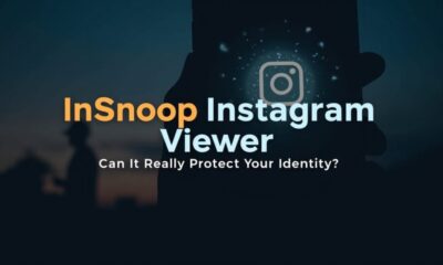 Instagram Story Viewer Insnoop
