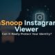 Instagram Story Viewer Insnoop