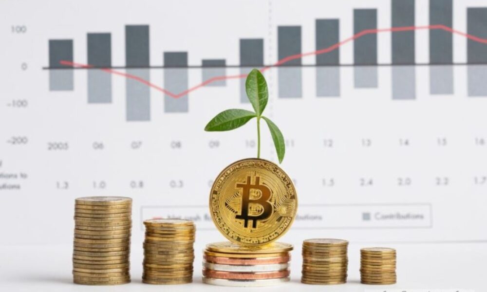 Business RobTheCoins