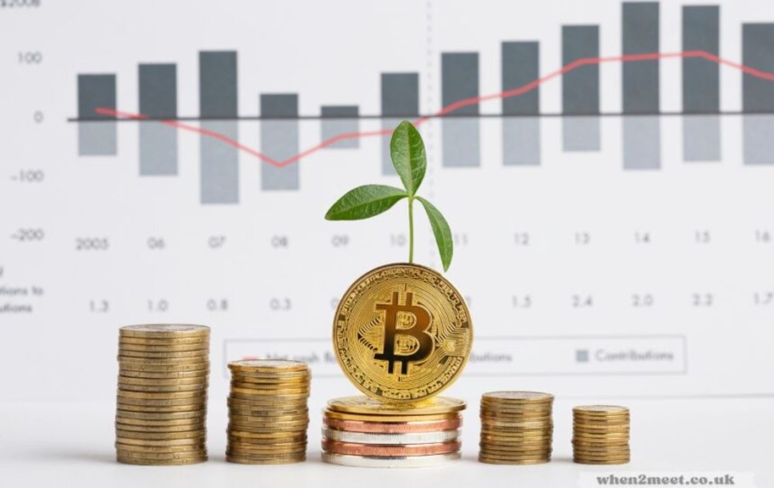 Business RobTheCoins