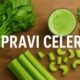Pravi Celer