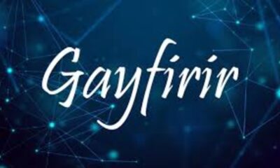 gayfirir